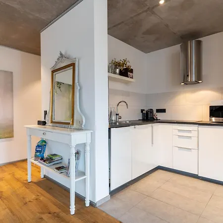 Apartment Vicas