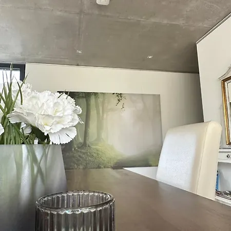 Apartment Vicas